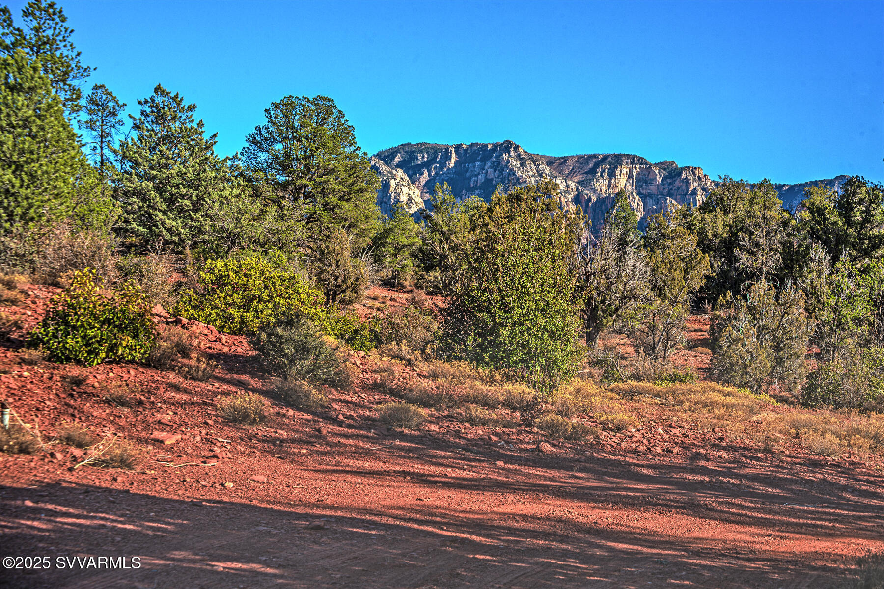 251 MOONLIGHT Drive -