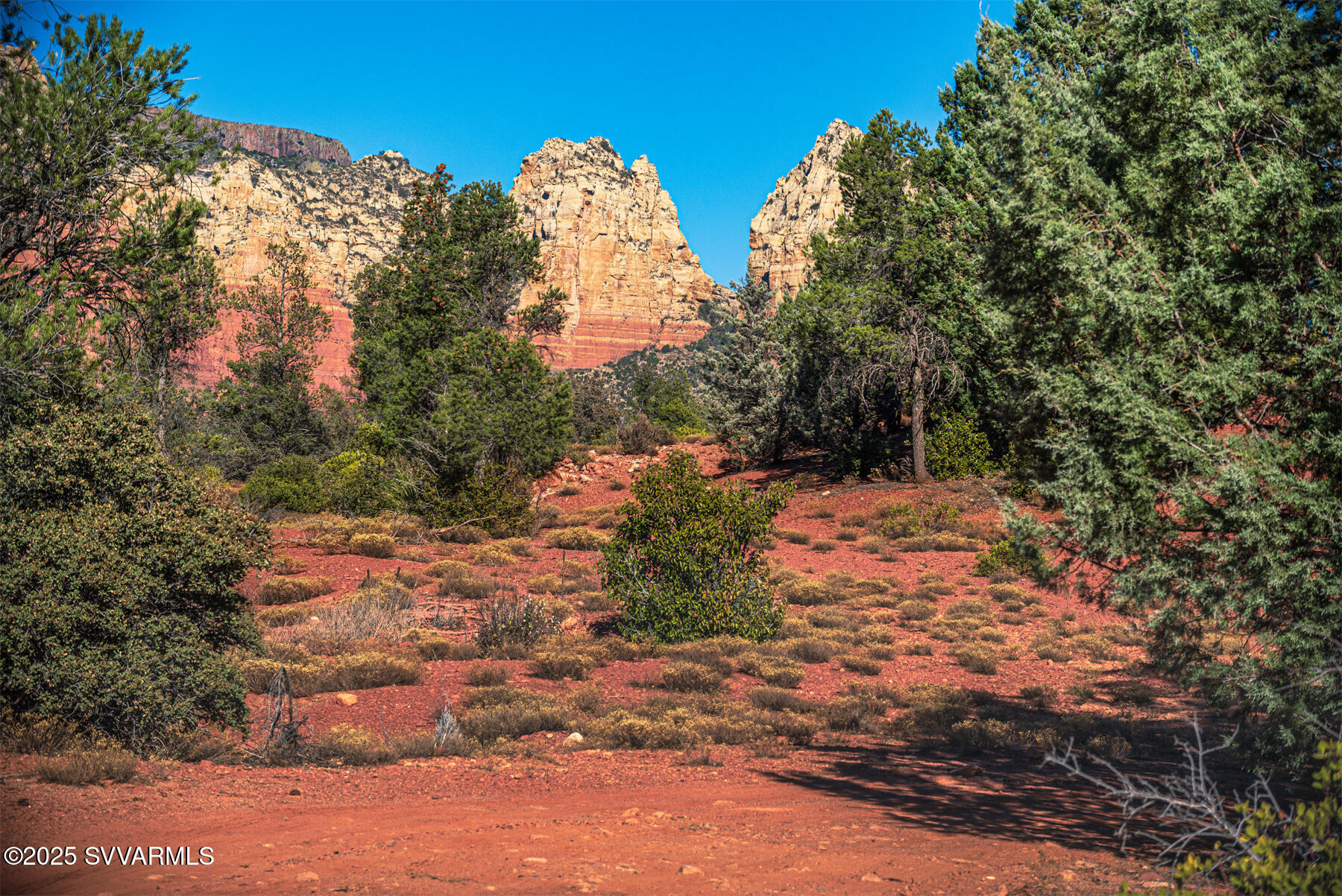 251 MOONLIGHT Drive -