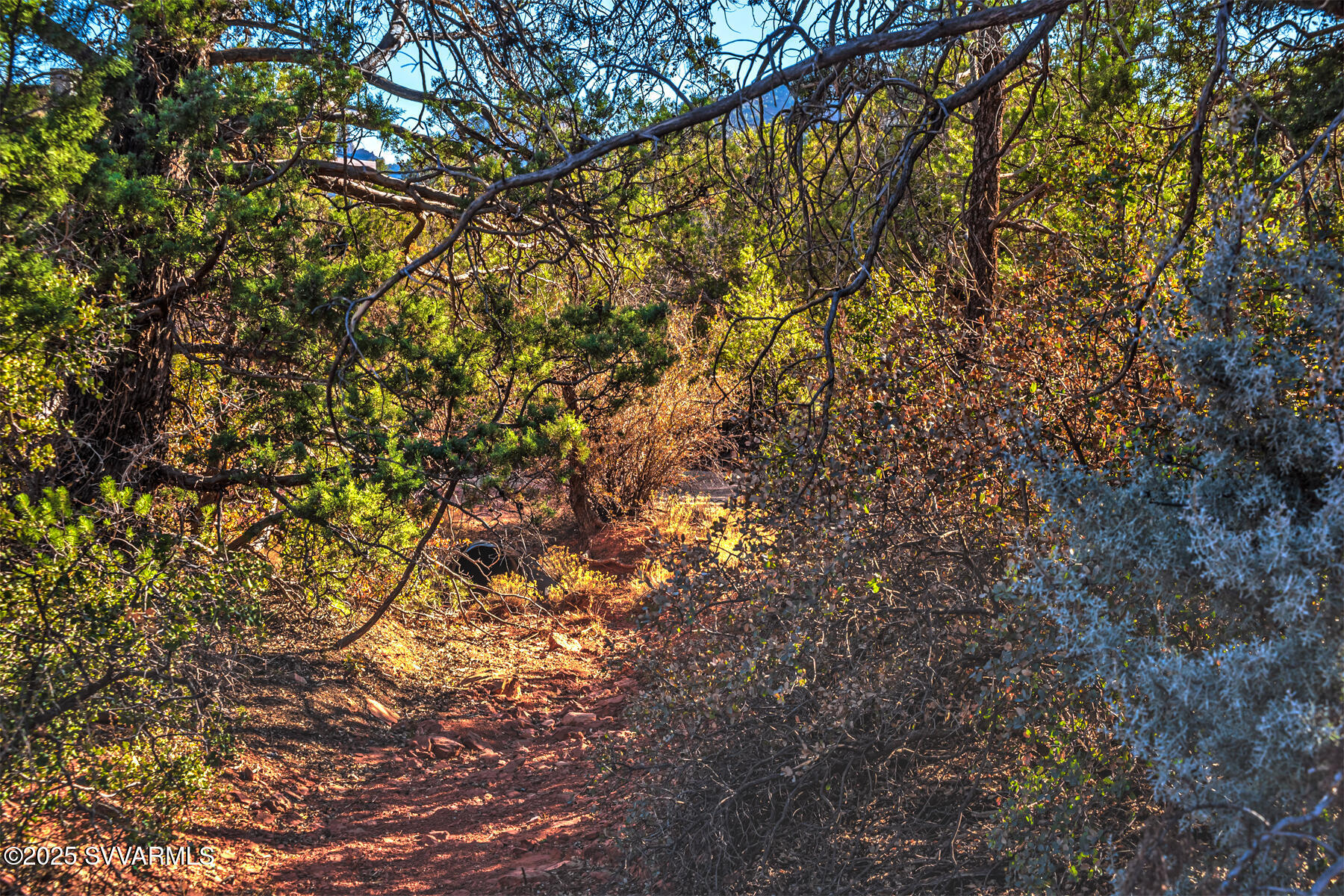 251 MOONLIGHT Drive -