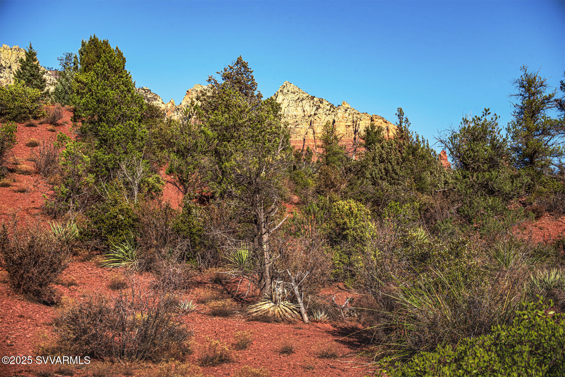 251 MOONLIGHT Drive -