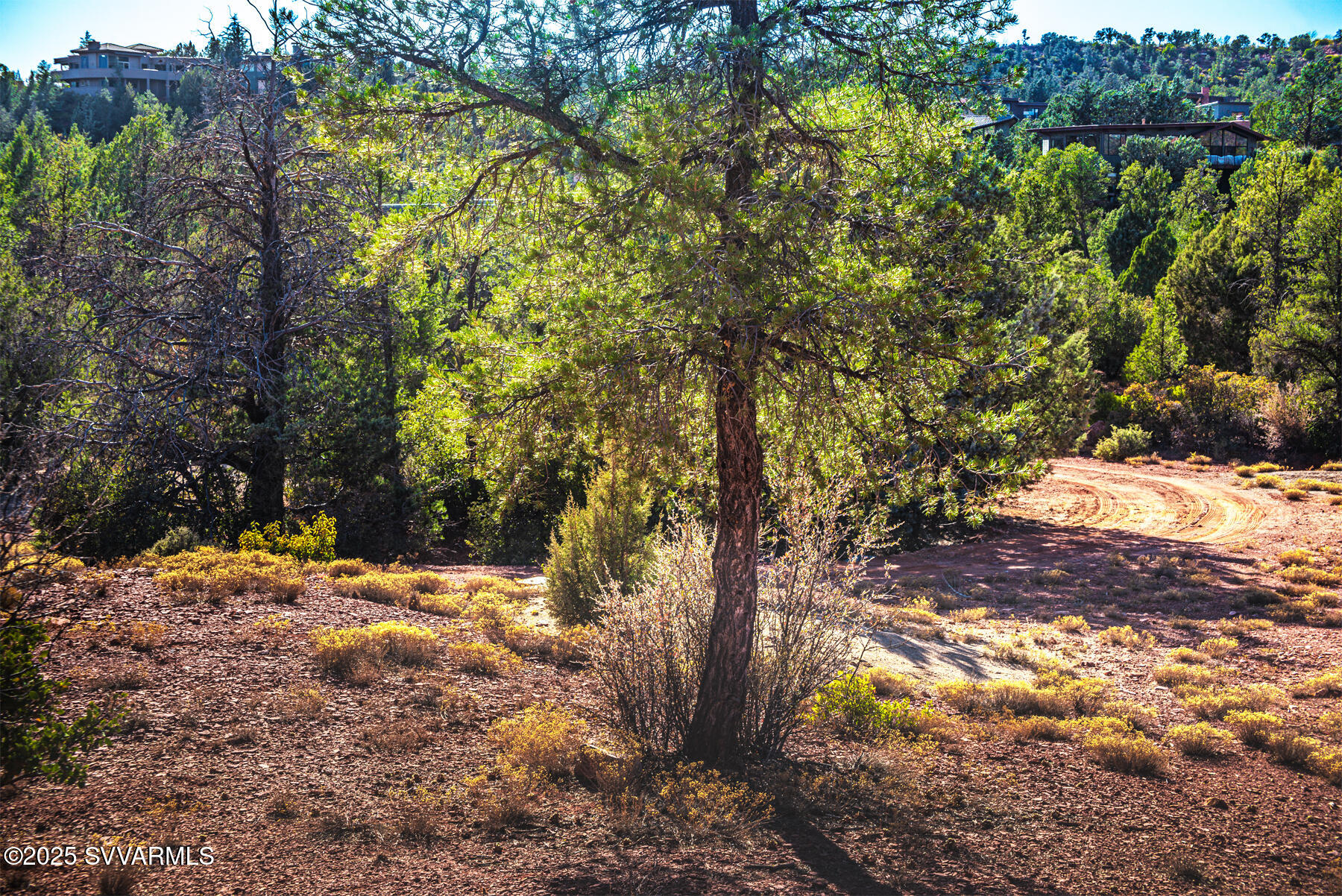 251 MOONLIGHT Drive -