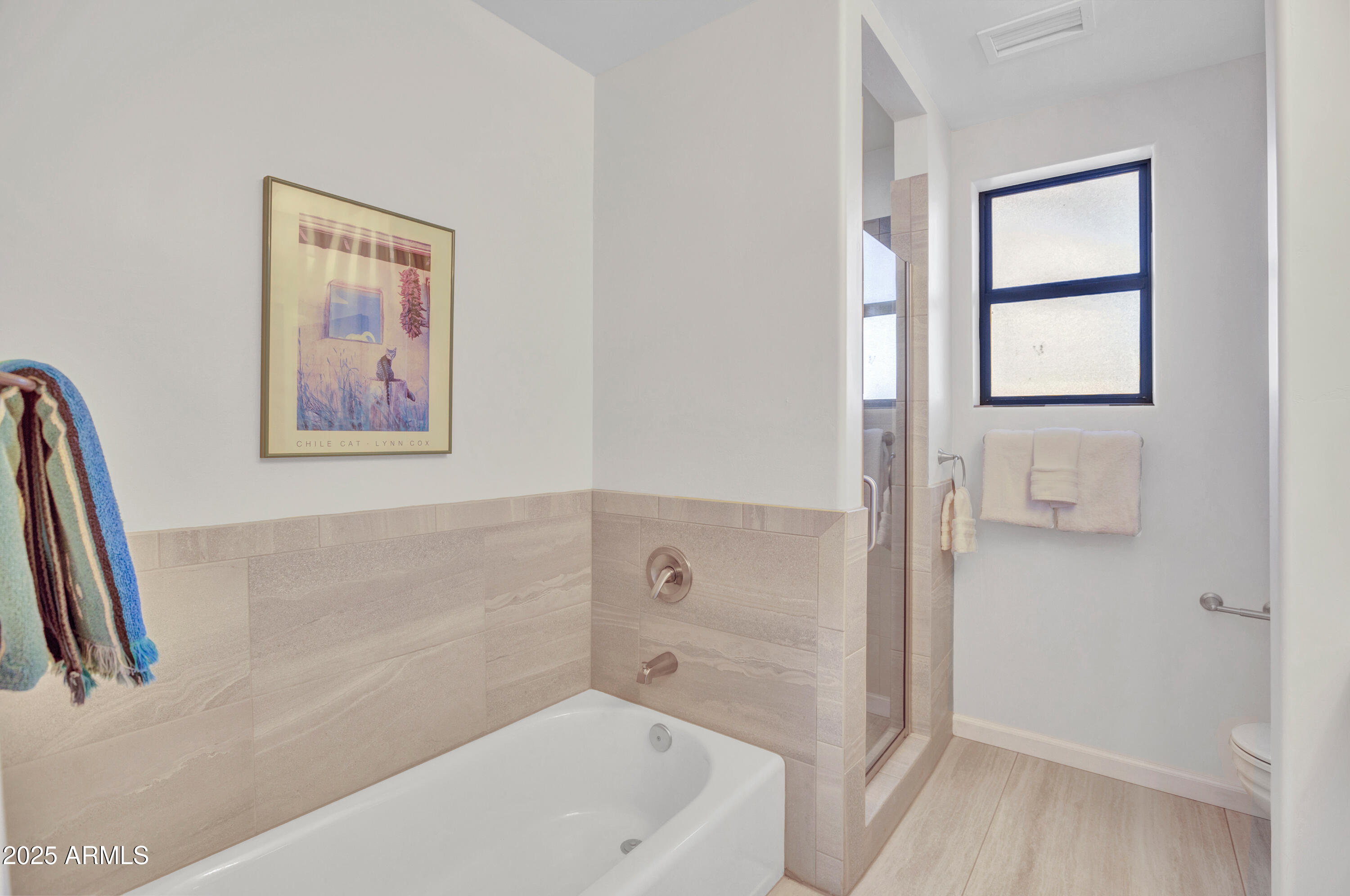 375 E Indian Cliffs Road