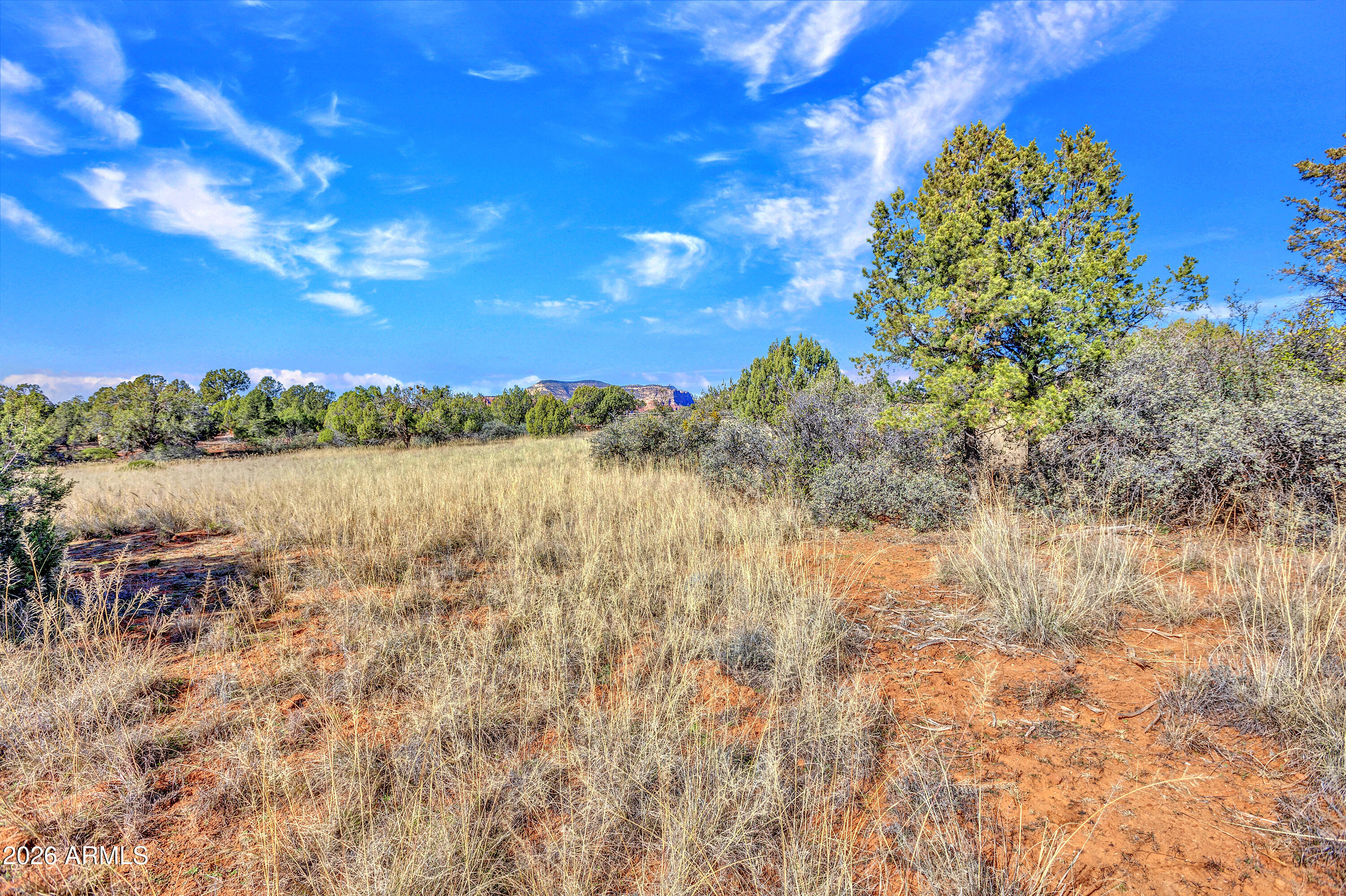 3510 CHIMNEY ROCK Lane -