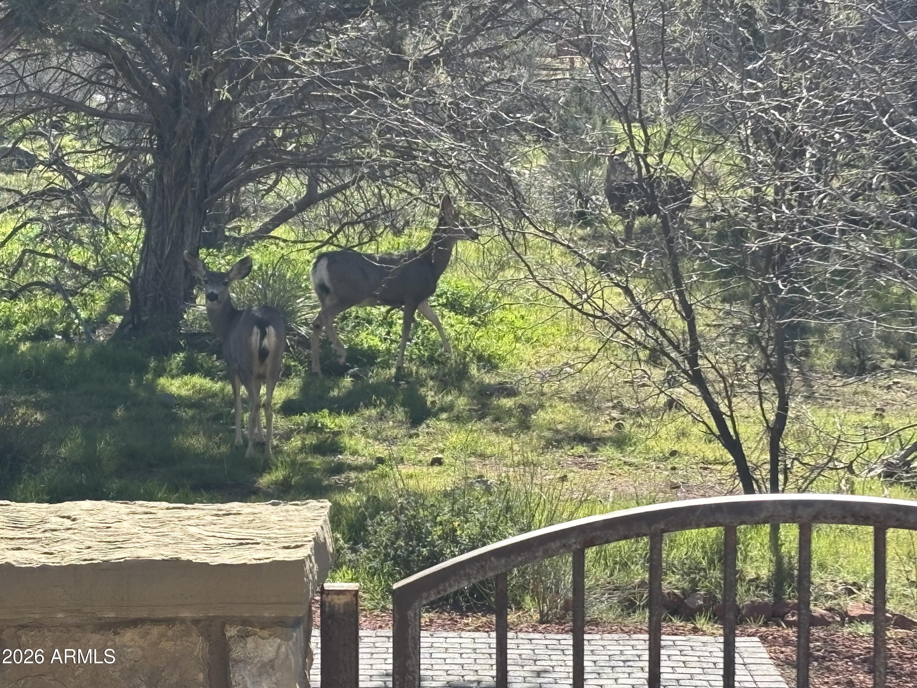 25 RAVENS CALL Place