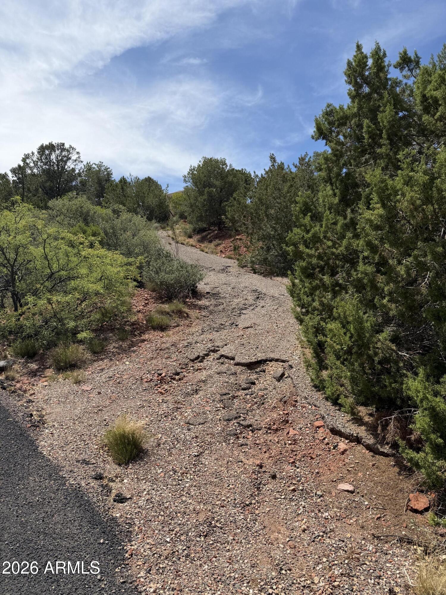 25 FOREST VIEW Trail 1