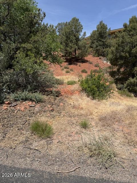 25 FOREST VIEW Trail 1