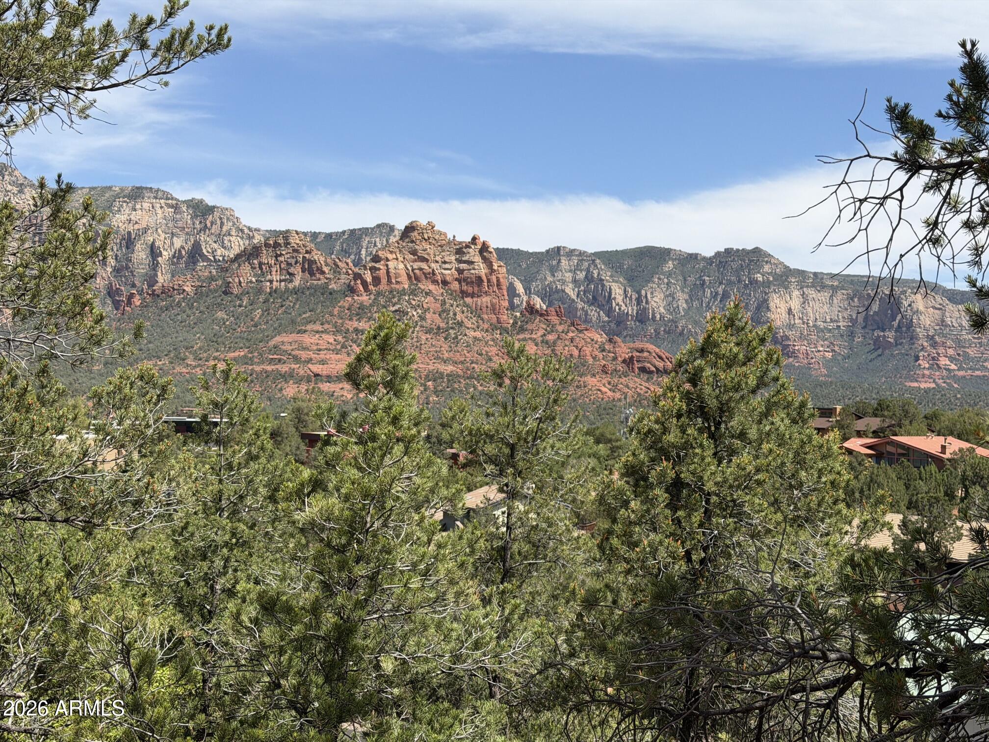 25 FOREST VIEW Trail 1