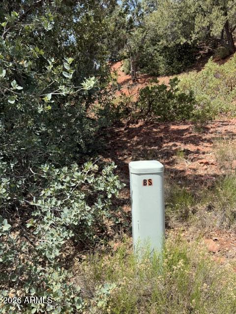 25 FOREST VIEW Trail 1