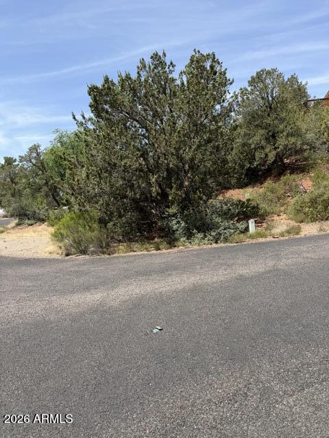 25 FOREST VIEW Trail 1