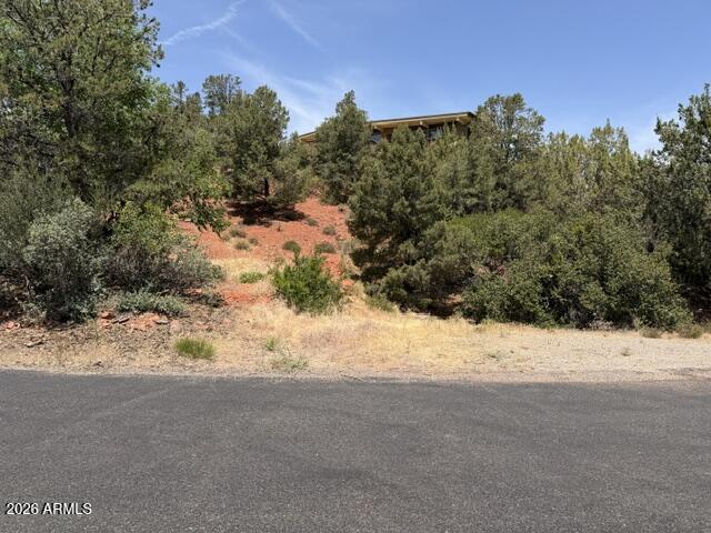 25 FOREST VIEW Trail 1