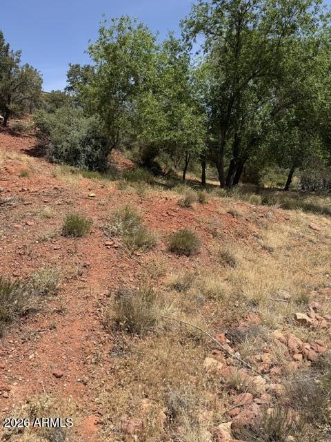 25 FOREST VIEW Trail 1