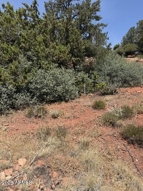 25 FOREST VIEW Trail 1