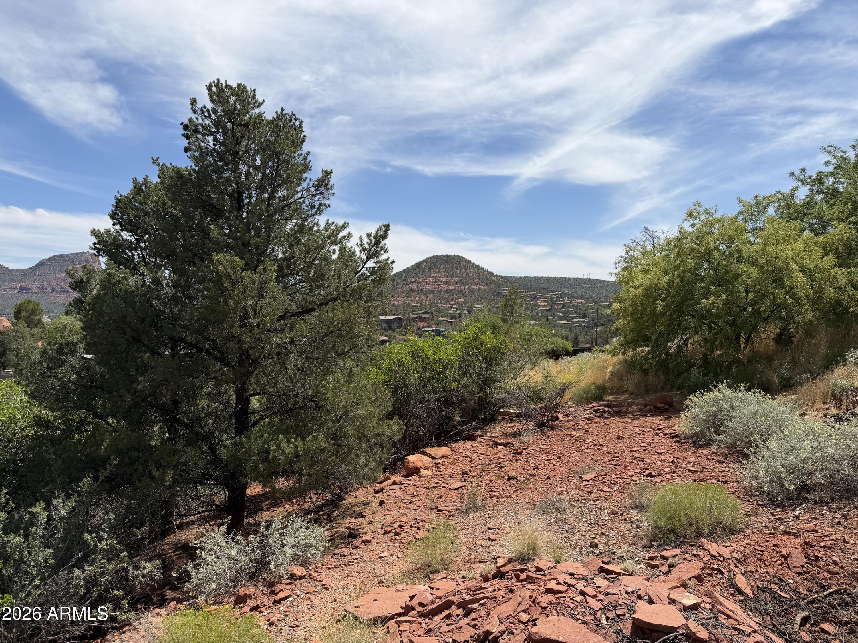 25 FOREST VIEW Trail 1