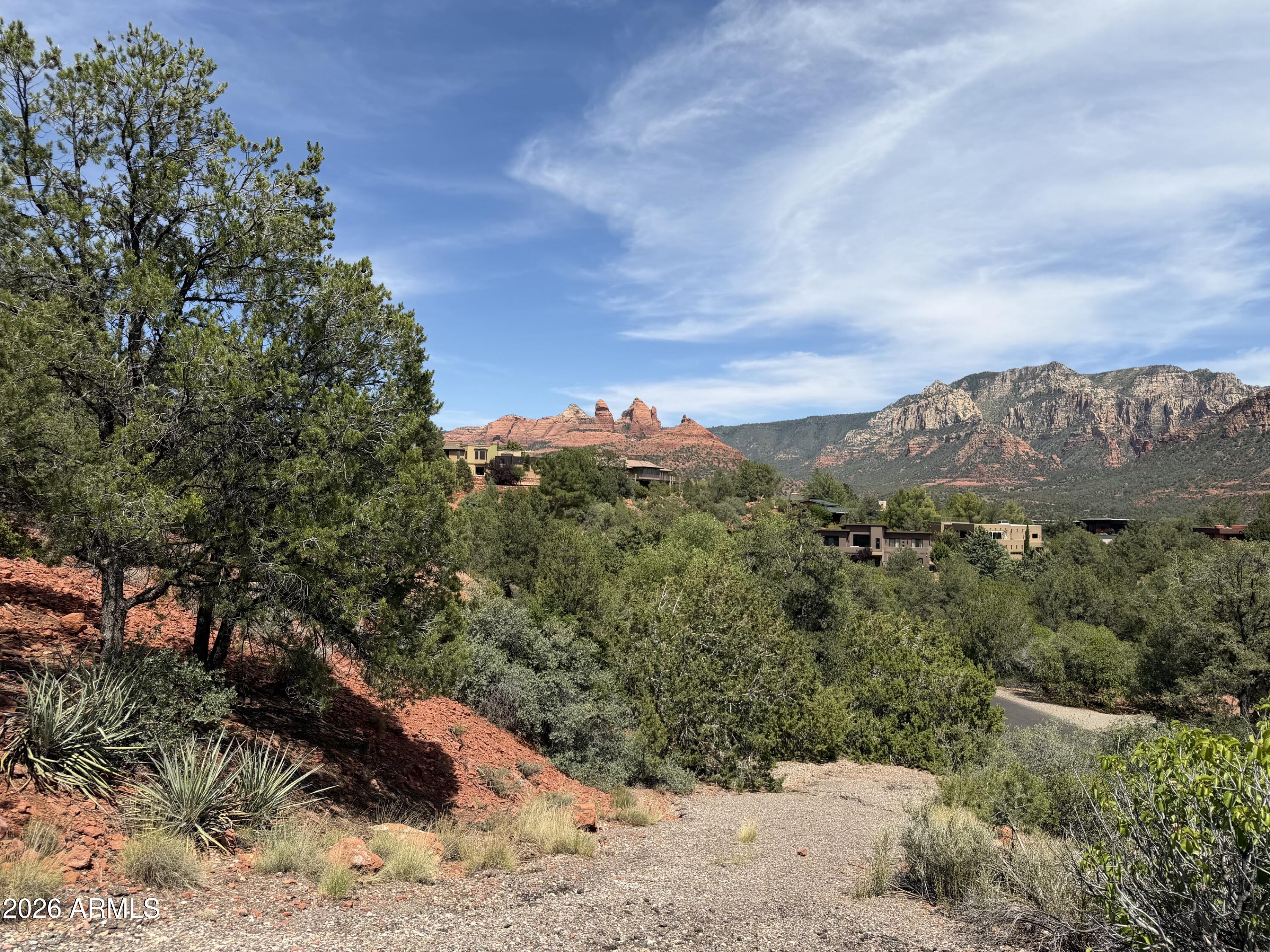 25 FOREST VIEW Trail 1