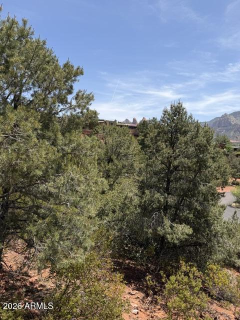 25 FOREST VIEW Trail 1