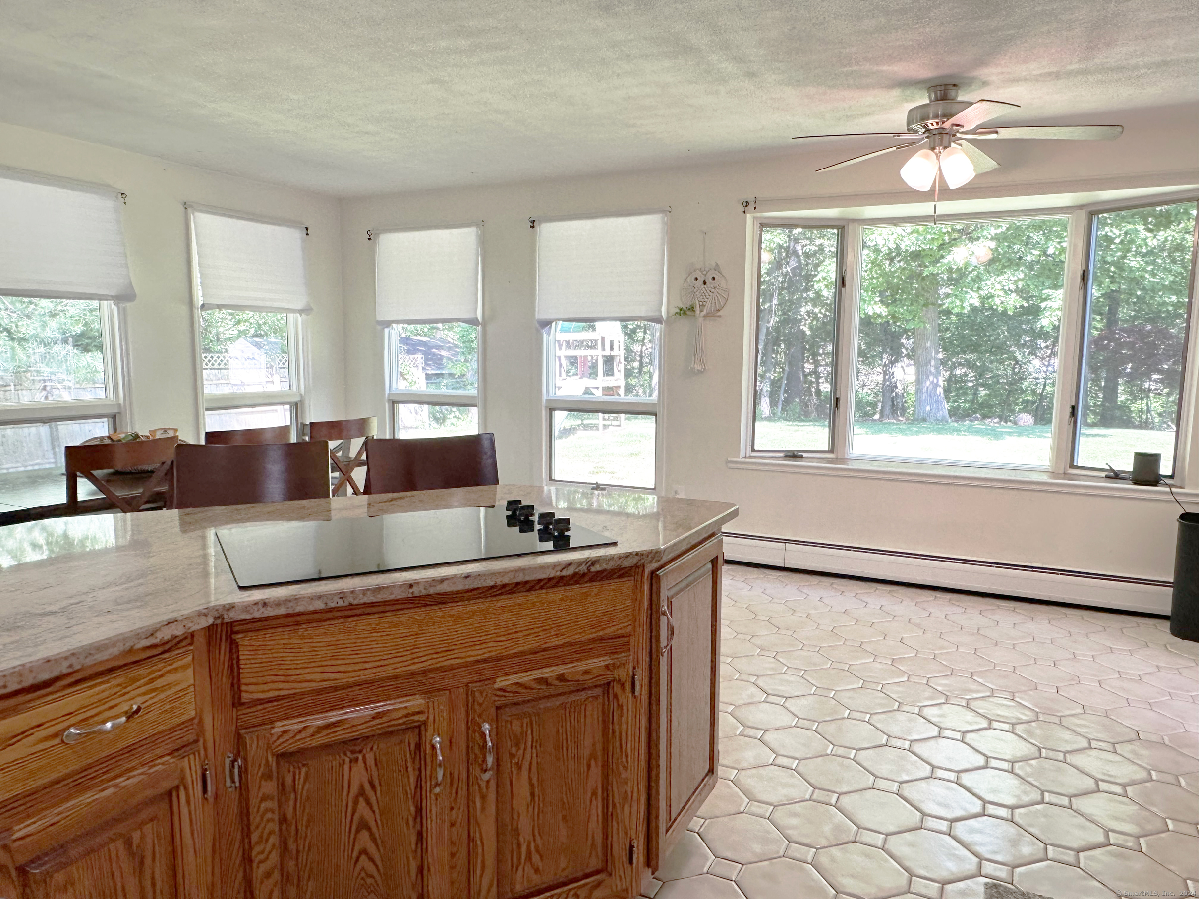 39 Mohawk Drive