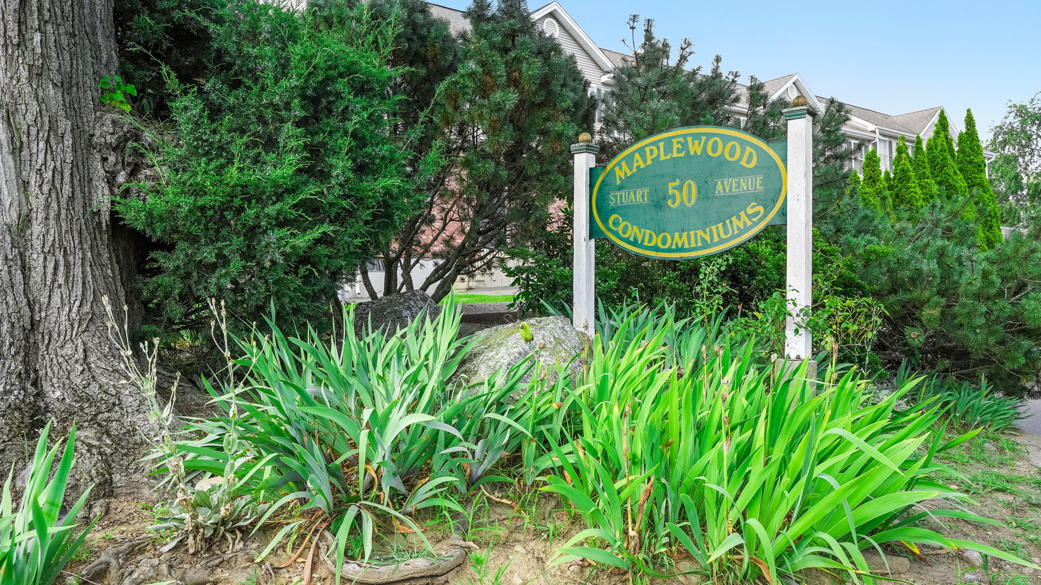 50 Stuart Avenue B1