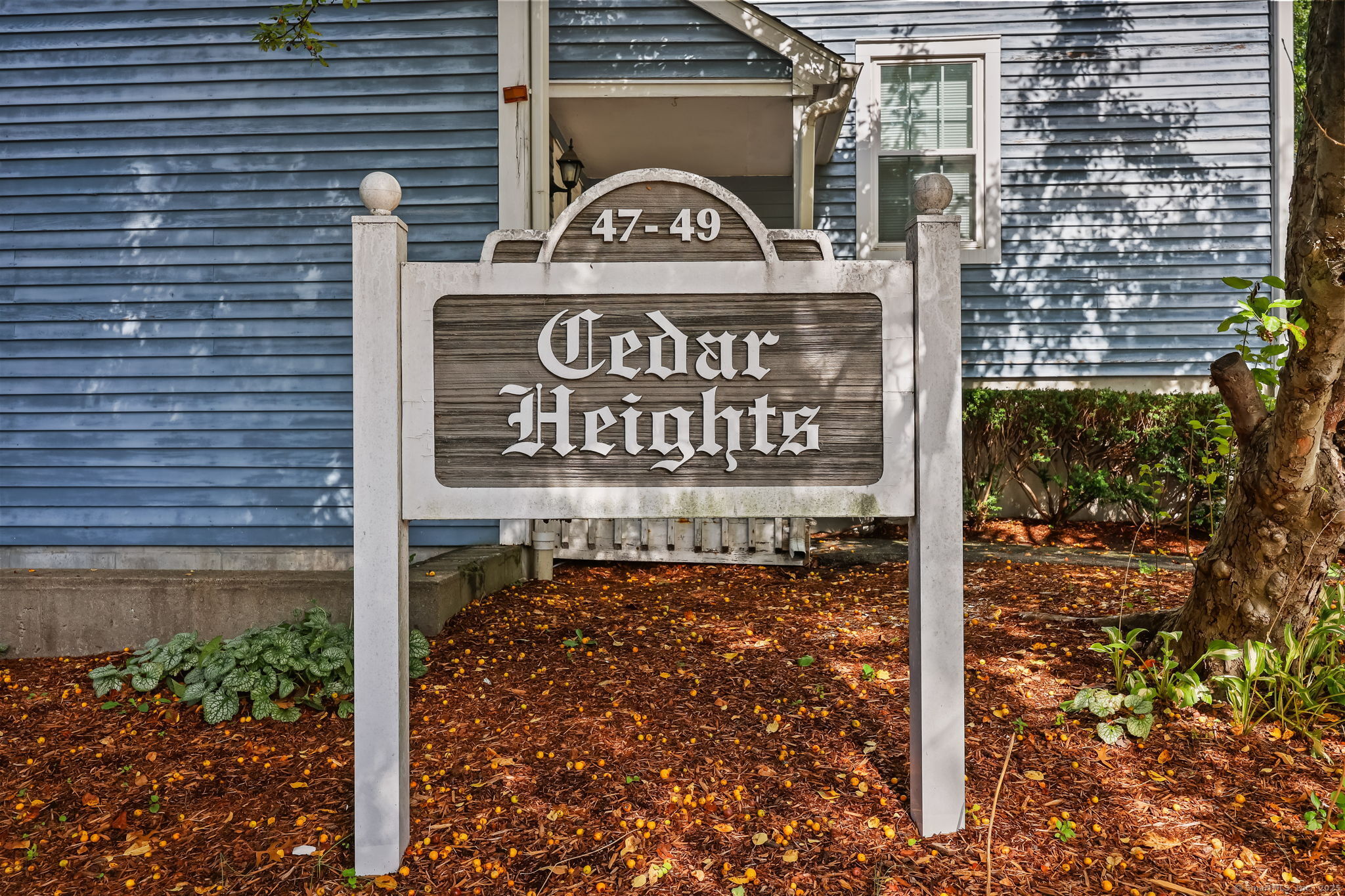 47 Cedar Street APT 1