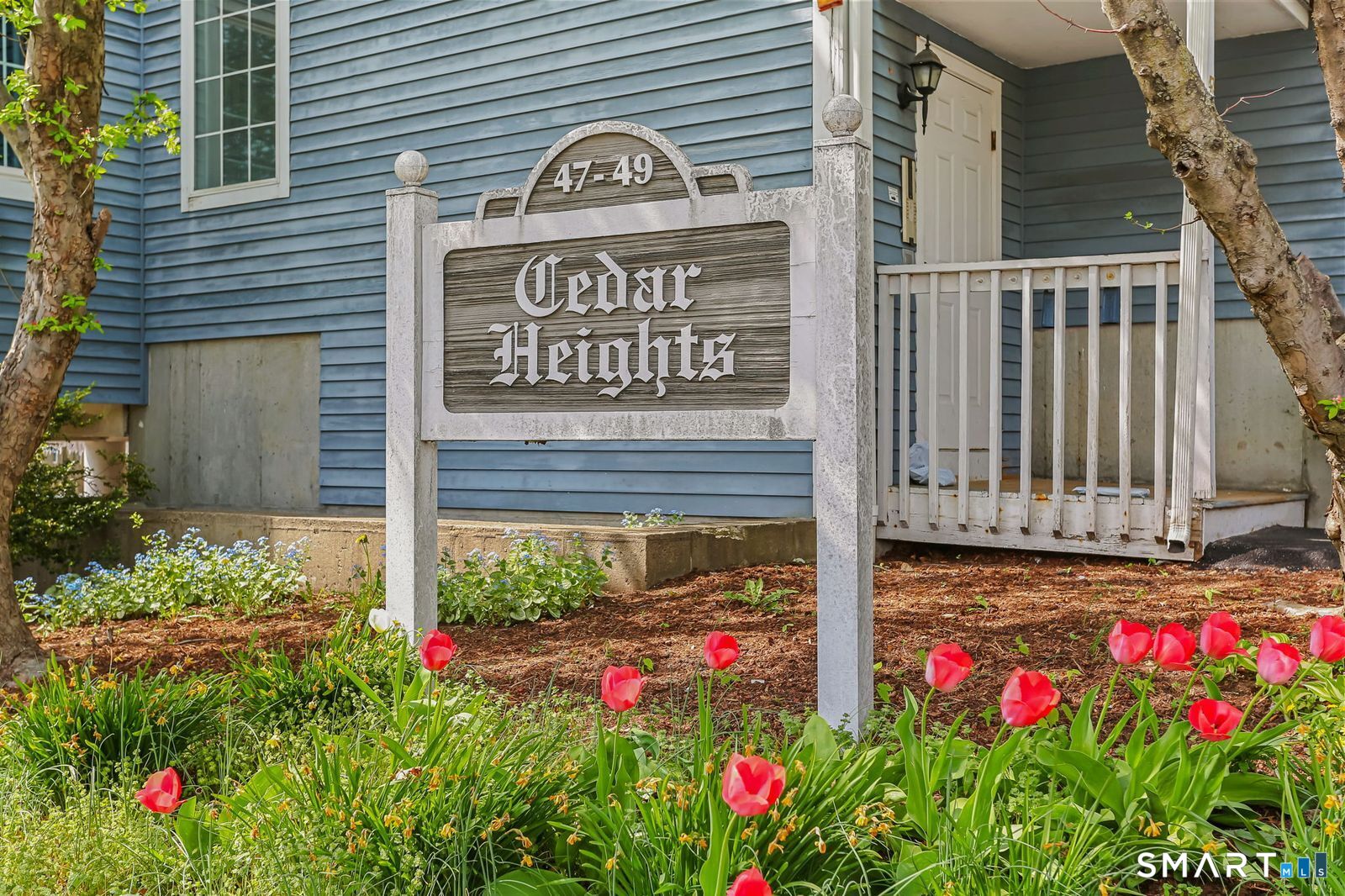 47 Cedar Street 2