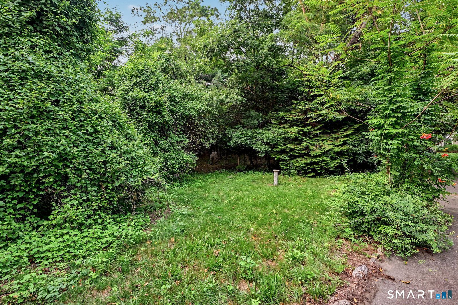 107 Wolfpit Avenue