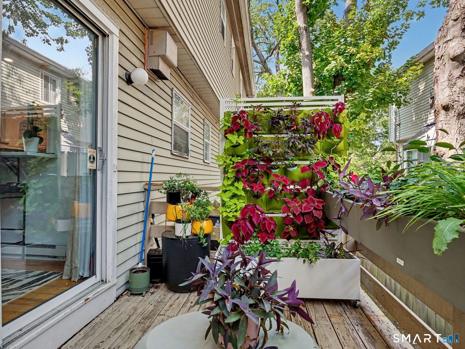63 Maple Tree Avenue Unit: B