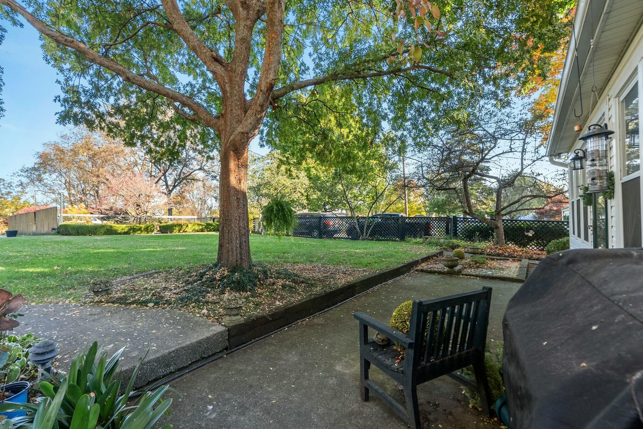 1483 Cypress Street