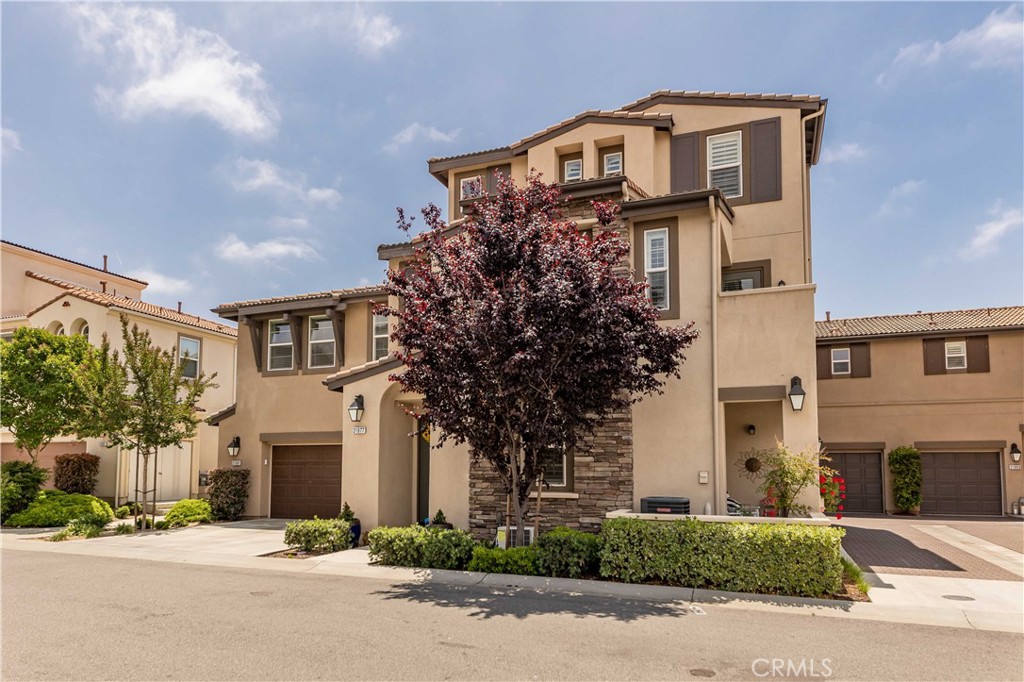 31881 Calle Luz