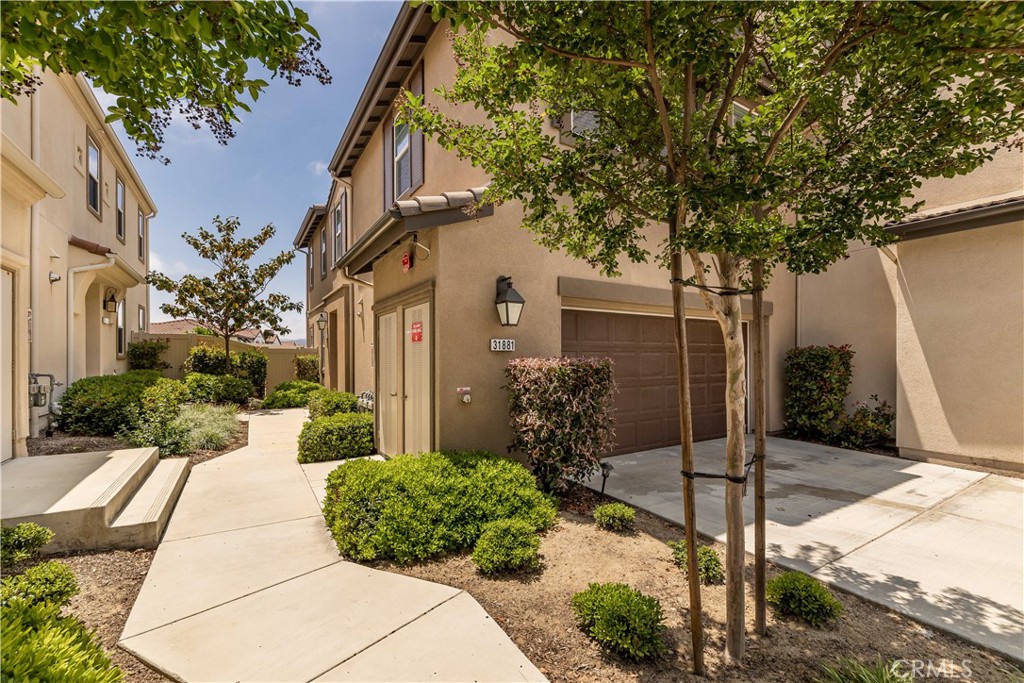 31881 Calle Luz
