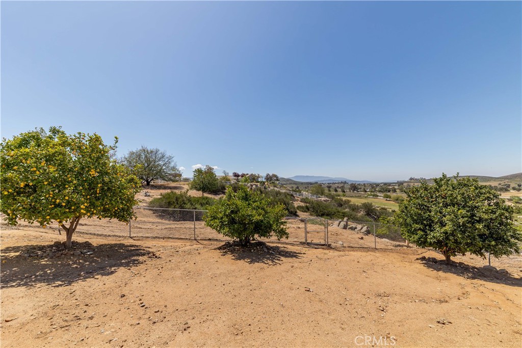 35155 Sawh Court