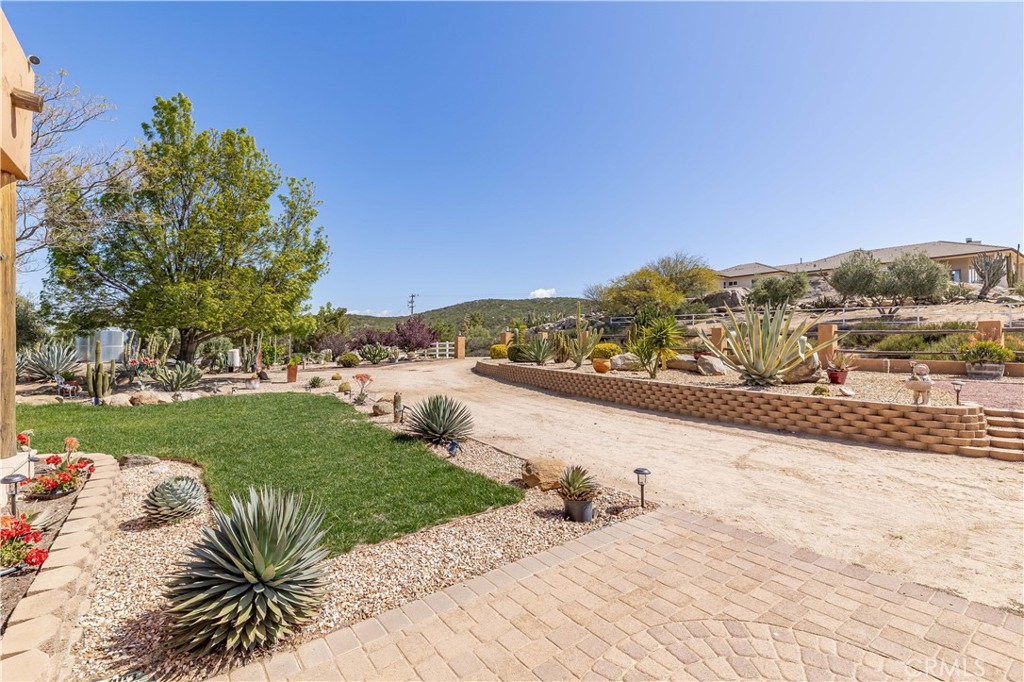 35155 Sawh Court