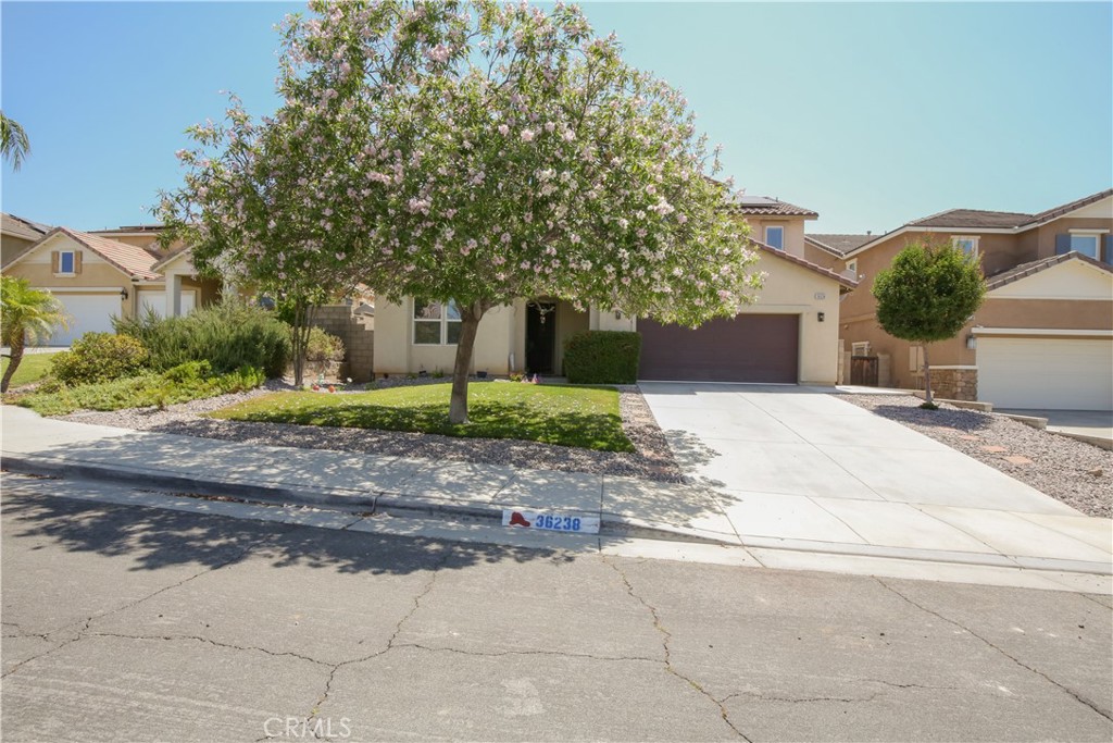 36238 Trail Creek Circle