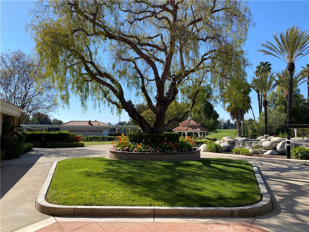 42145 Delmonte