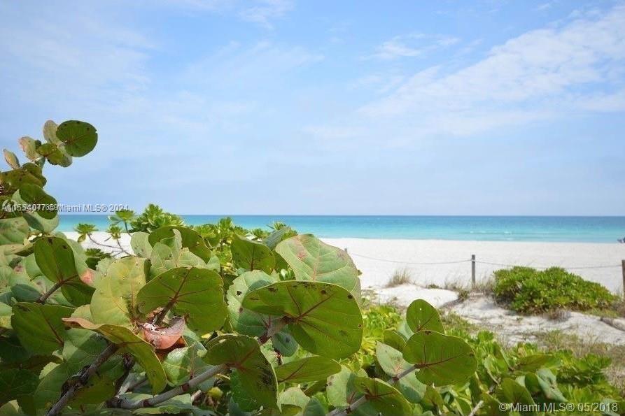 6000 Collins Ave # 310