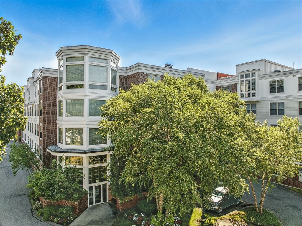 248 Albion Street # 211