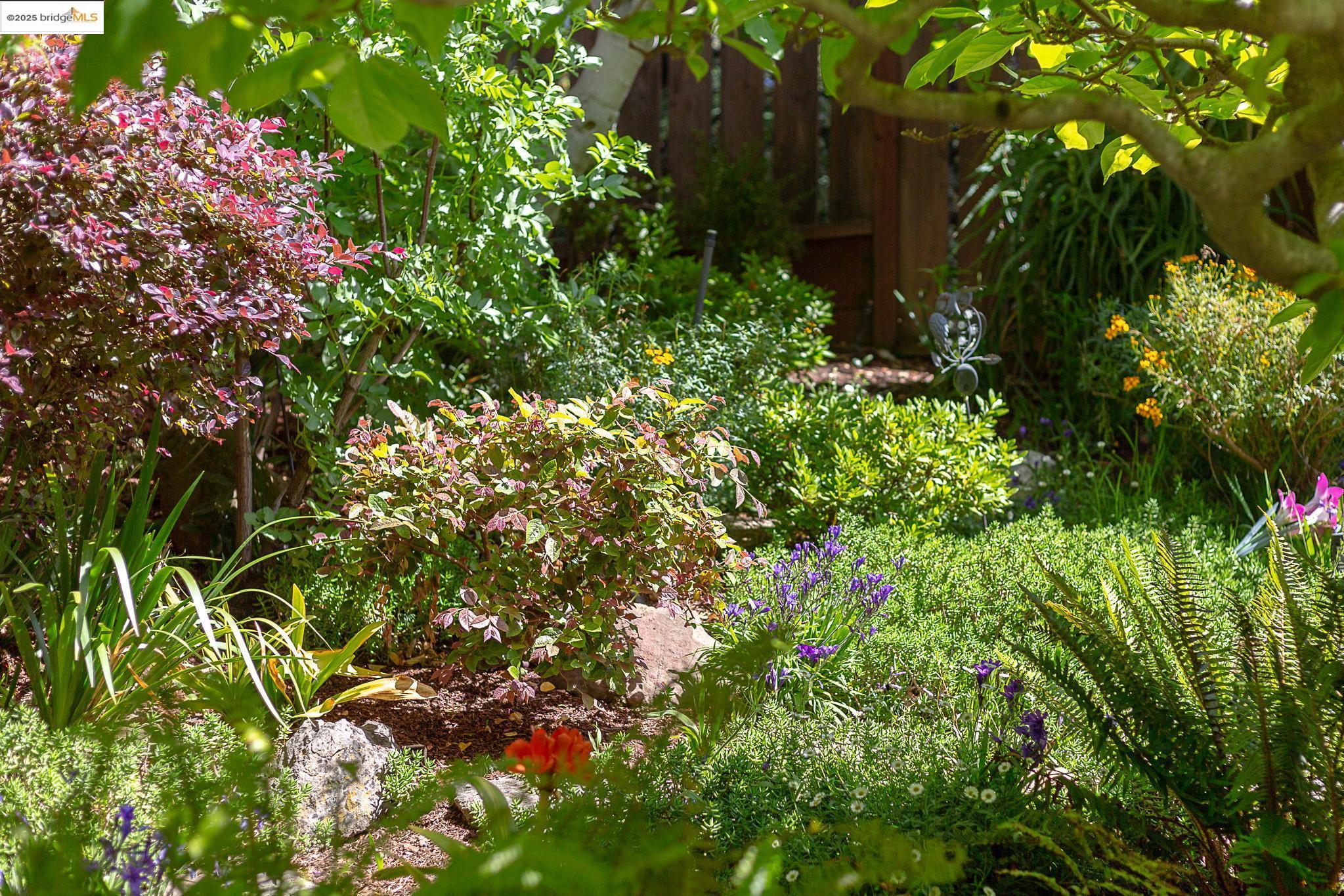 76 Eucalyptus Rd