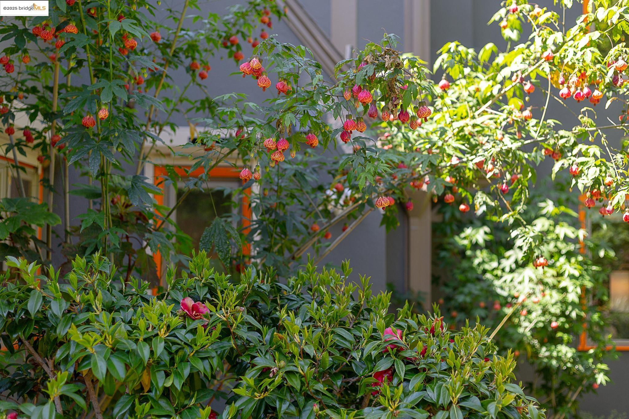 76 Eucalyptus Rd