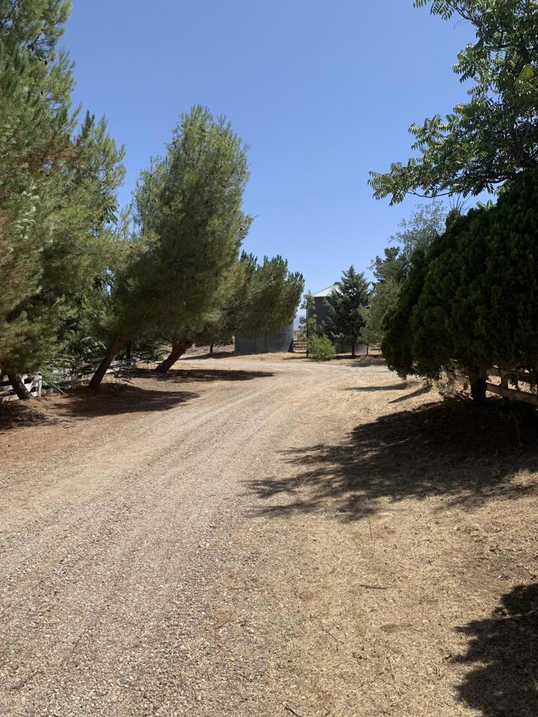 231 Castro Canyon Road