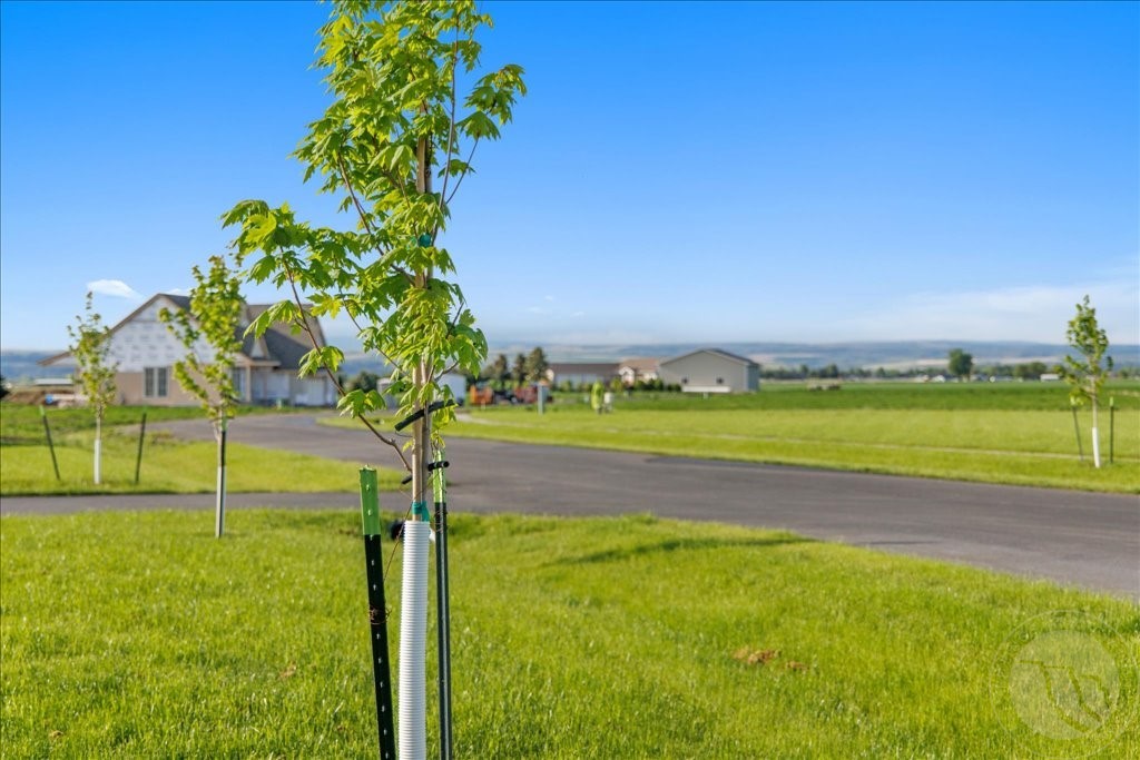 Lot 10 Black Canyon COURT