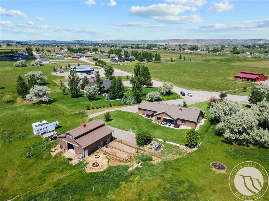 20 Penstemon LANE