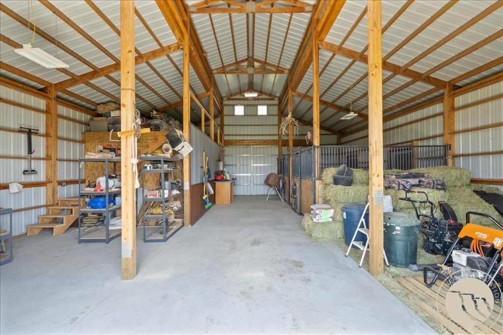 20 Penstemon LANE