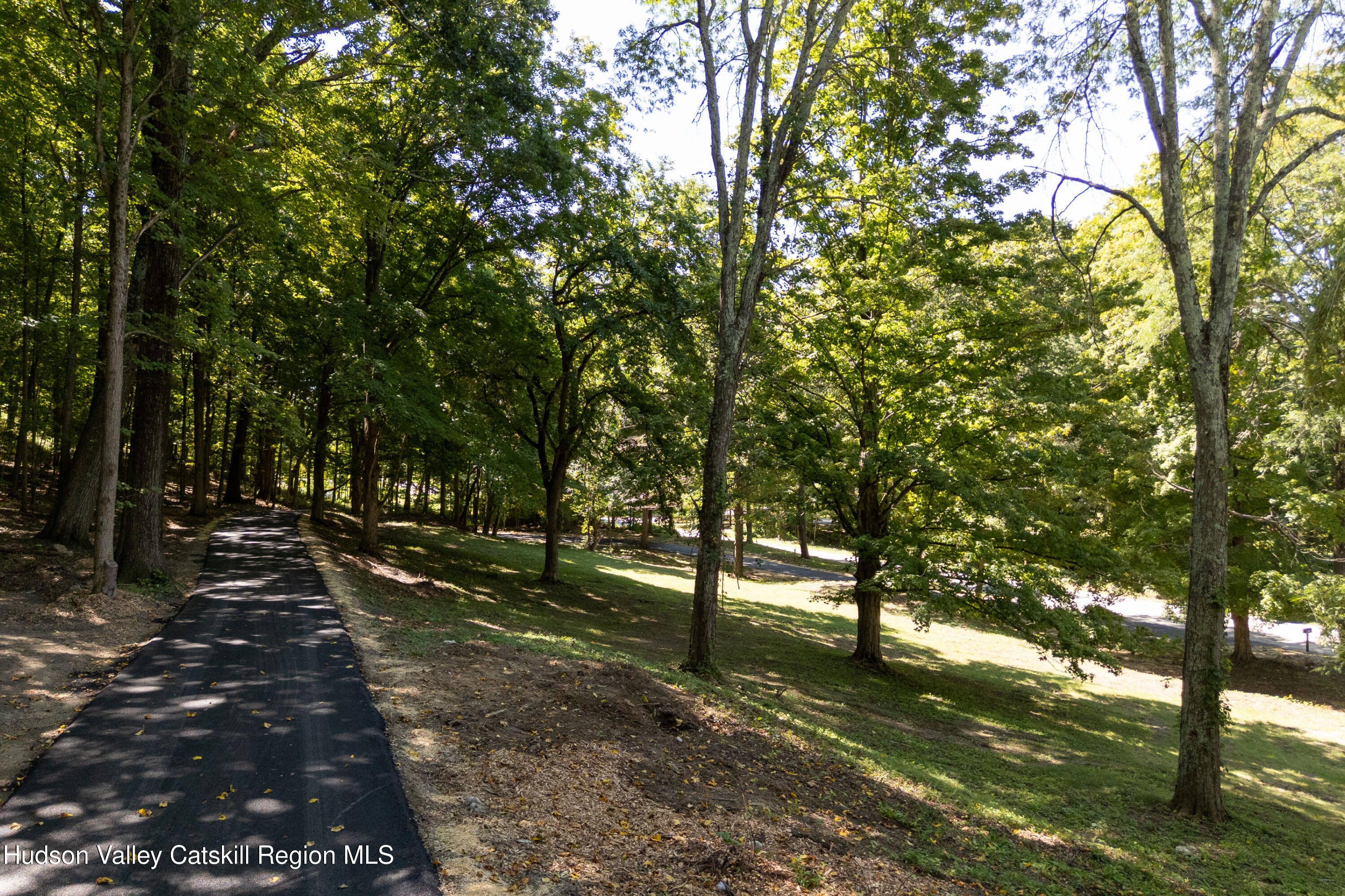 Paved driveway winds through mature trees and shaded lawn.