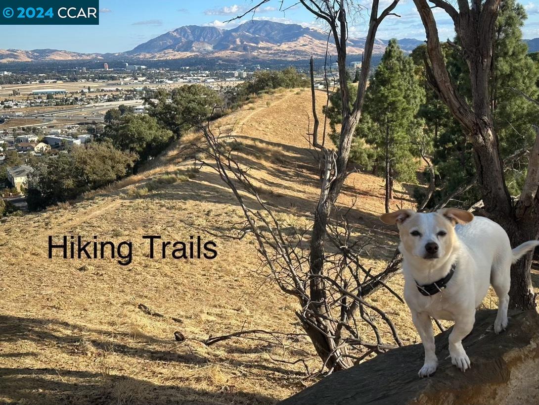 4866 Starflower Dr, Martinez 94553