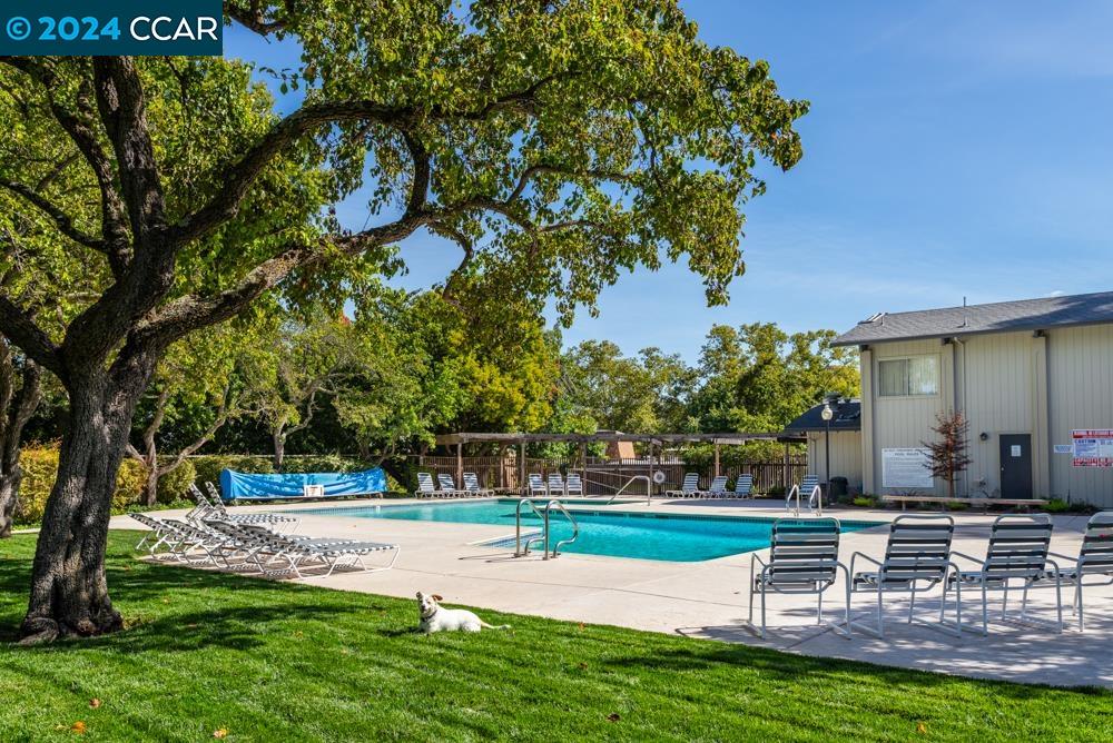 1811 Holland Dr