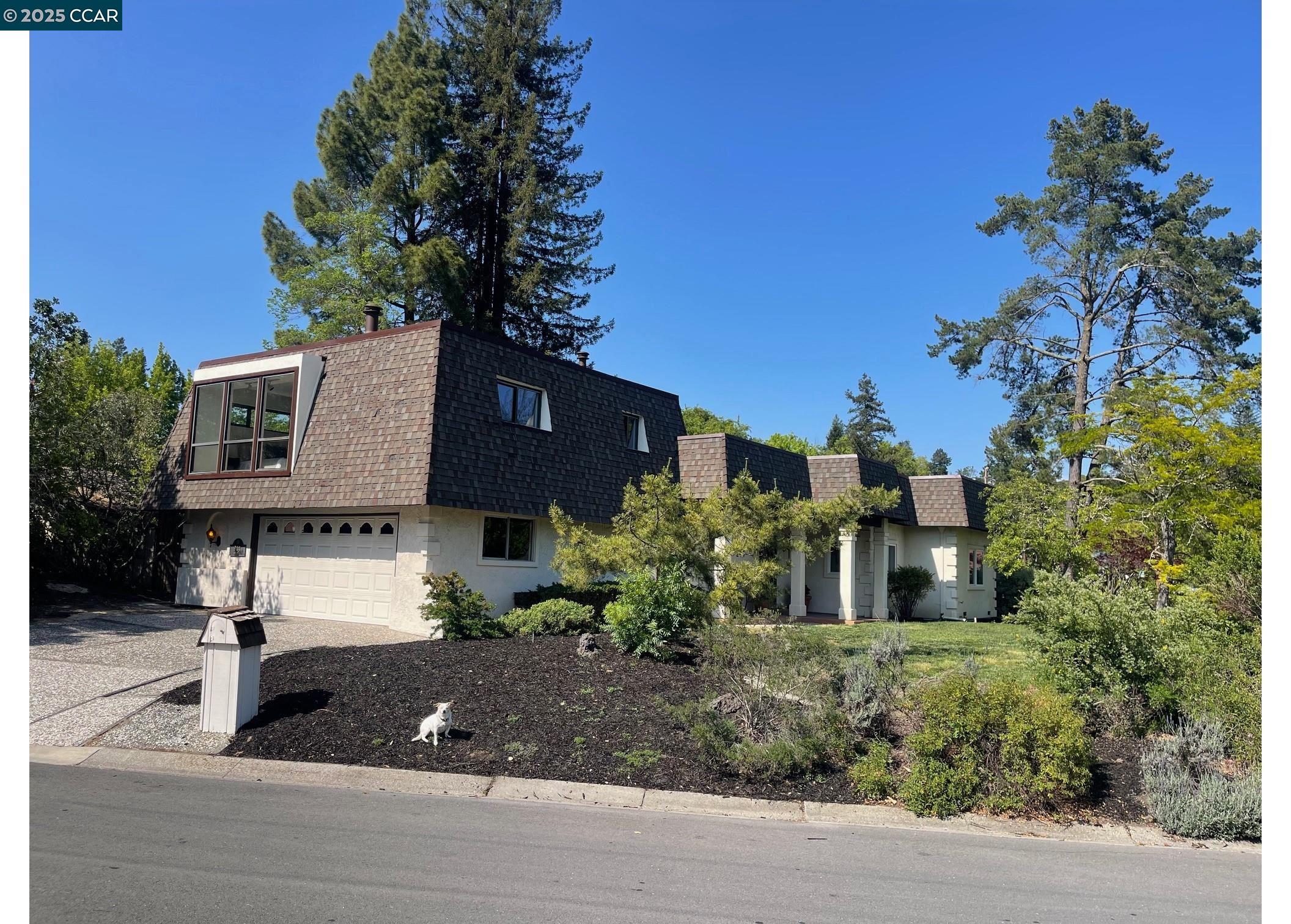 244 Ivy Dr