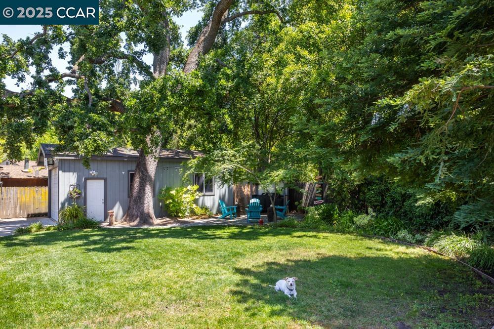 506 Shelly Dr