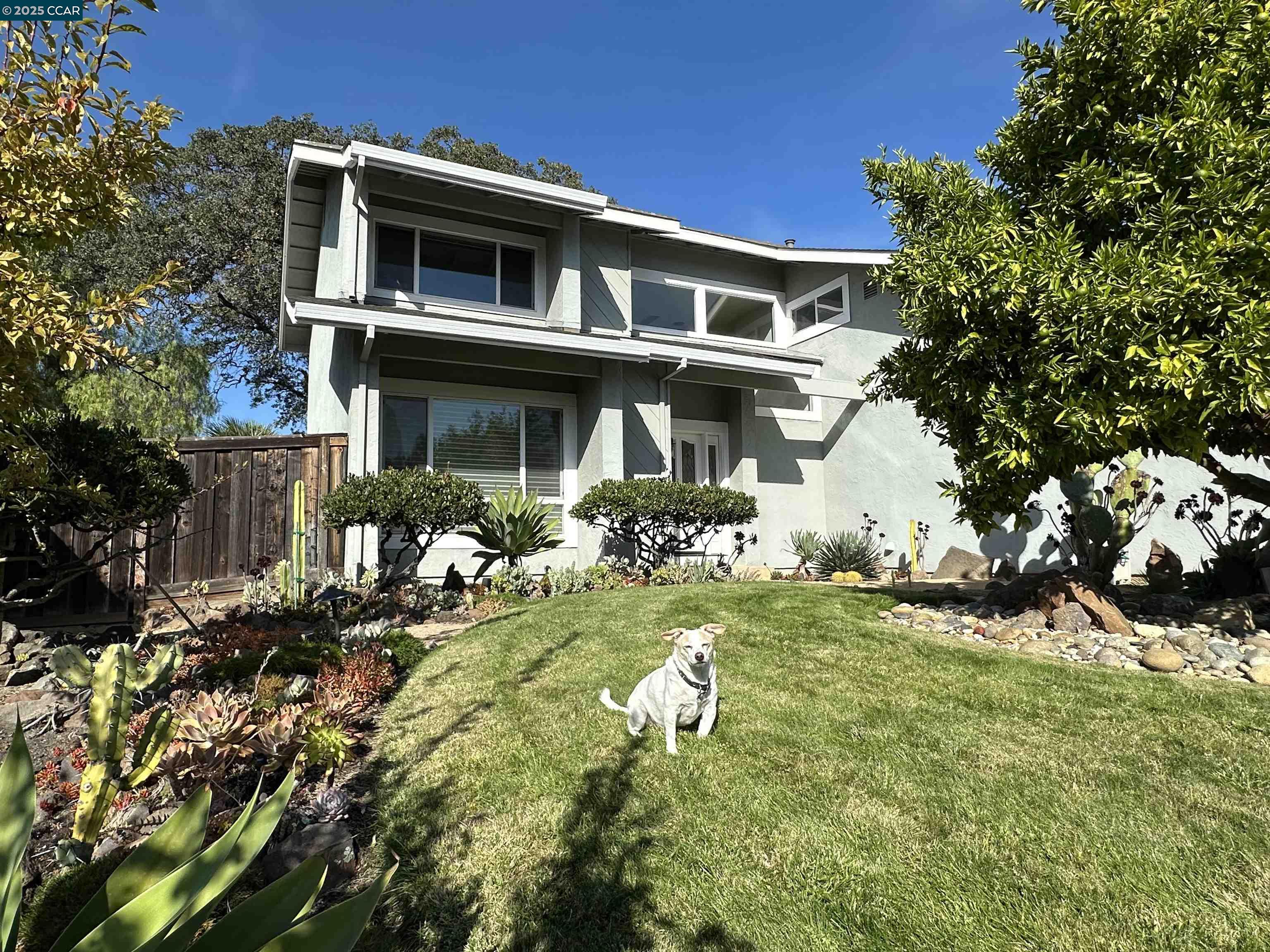 167 Mount Tam Ct, Martinez