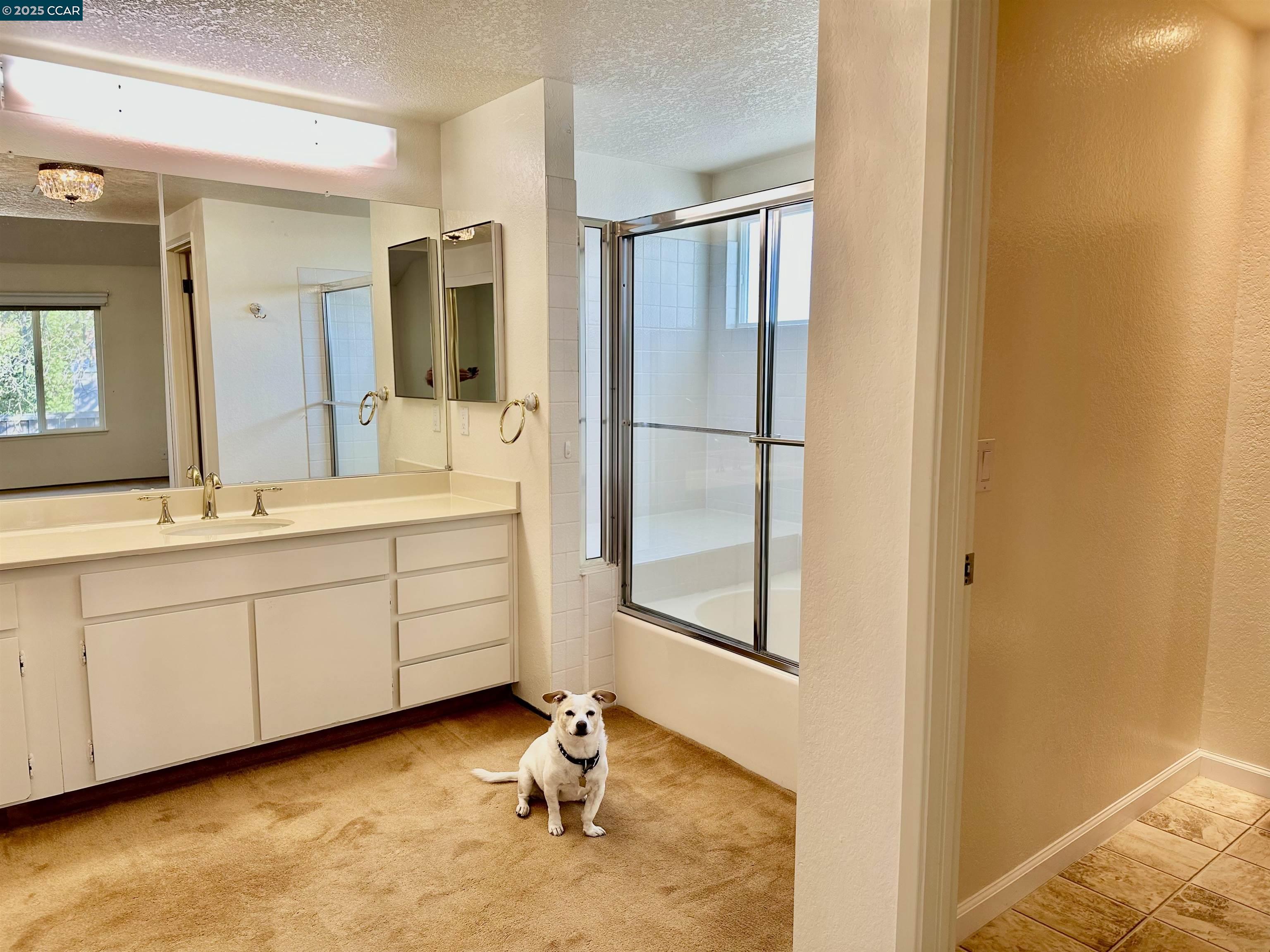 167 Mount Tam Ct, Martinez