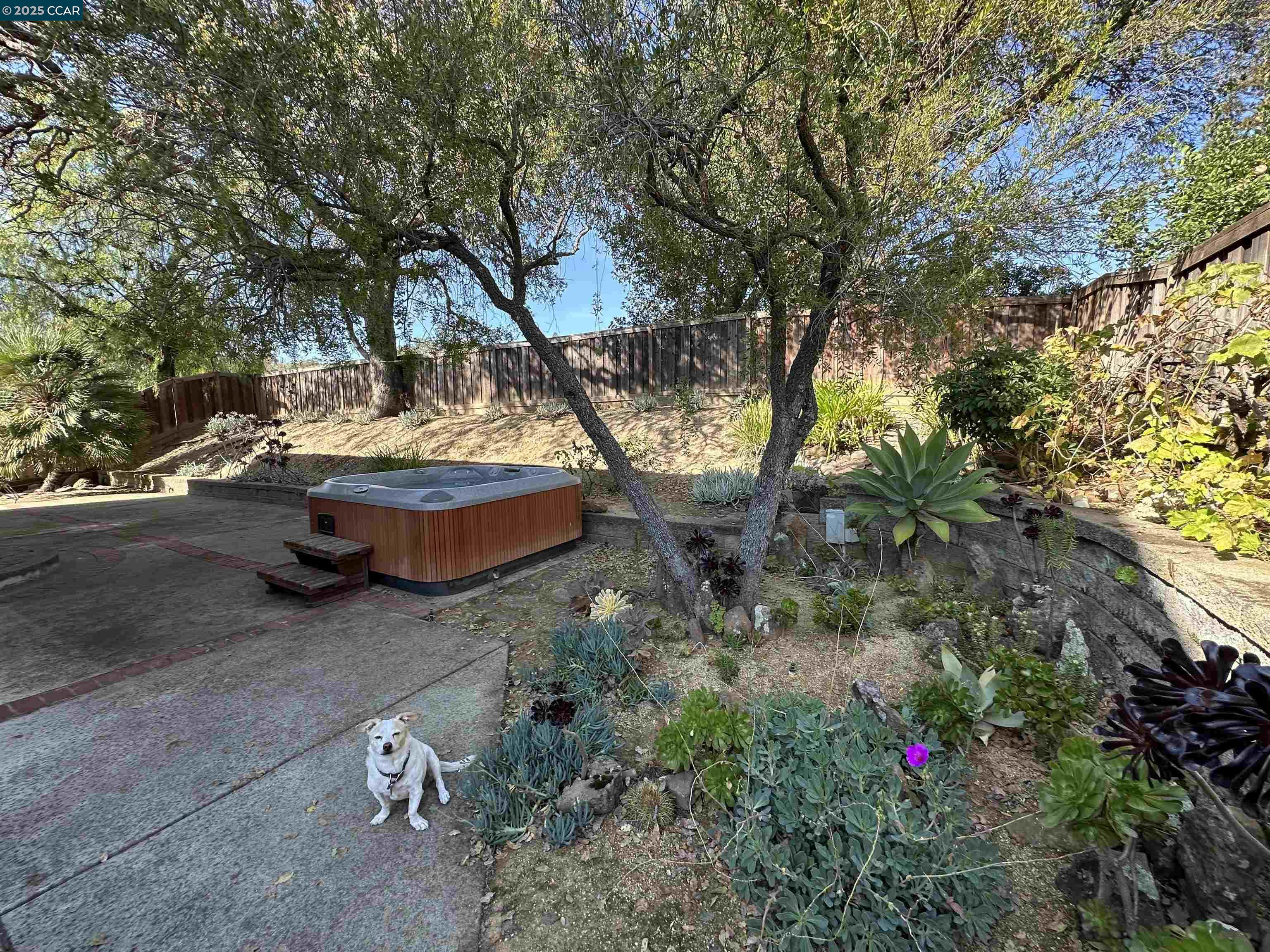 167 Mount Tam Ct, Martinez