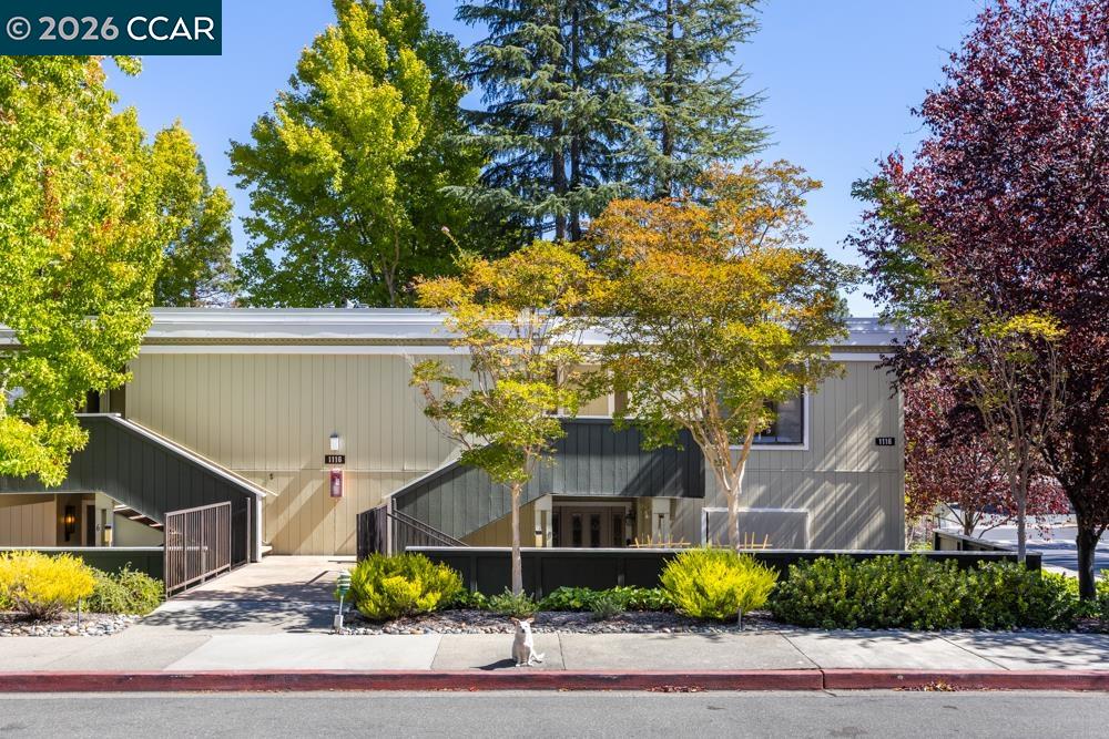 1116 Running Springs Rd # 7