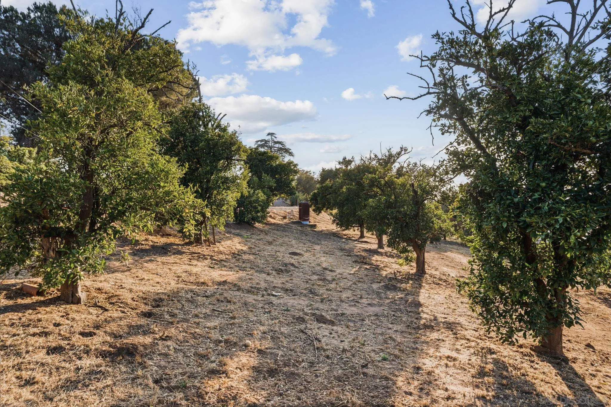 30562 Rolling Hills Dr.